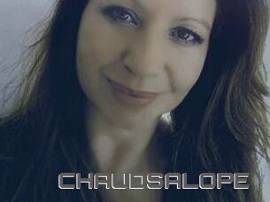 CHAUDSALOPE