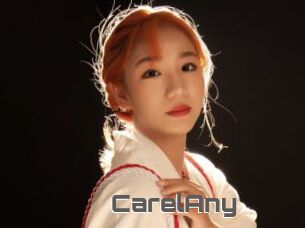 CarelAny