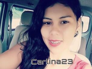 Carlina23