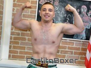 CarlitoBoxer