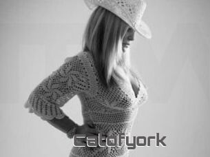 Catofyork