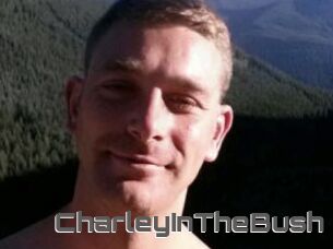 CharleyInTheBush