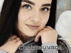 ChatSauvage