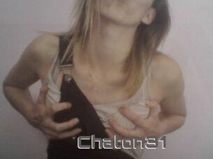 Chaton31