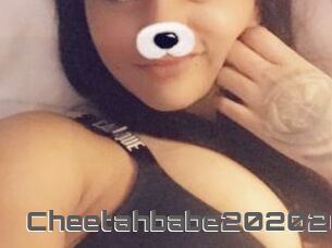 Cheetahbabe202020