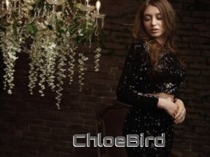 ChloeBird