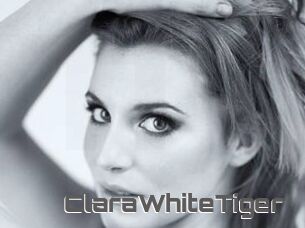 ClaraWhiteTiger