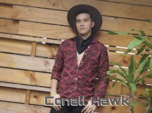 Conall_Hawk