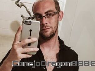 ConejoDragon8886