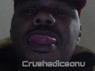 Crushediceonu