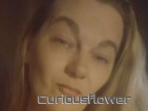 Curiousflower