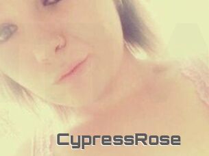 Cypress_Rose