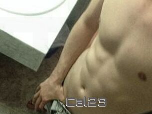 Cal23