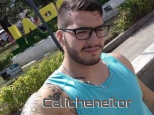 Calicheneitor