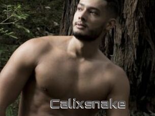 Calixsnake