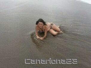 Canariona23