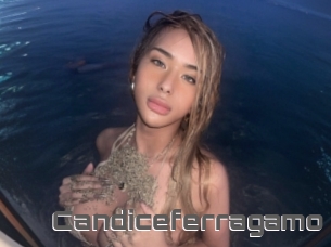 Candiceferragamo