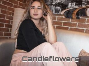 Candieflowers