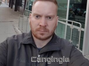 Cangingie