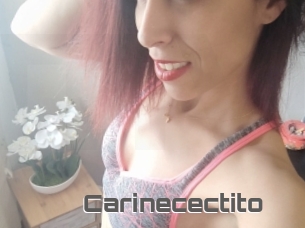 Carinecectito