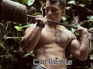 Carllewis