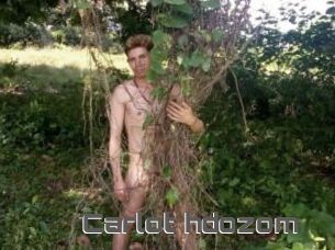 Carlot_hdozom