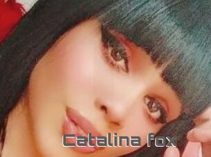 Catalina_fox