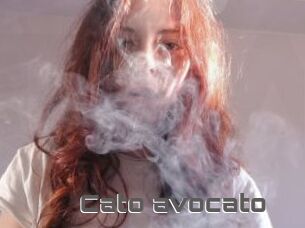 Cato_avocato