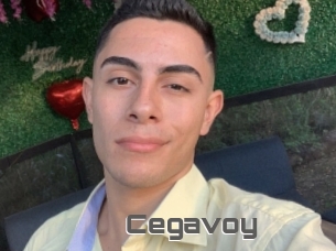 Cegavoy