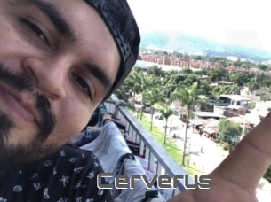 Cerverus