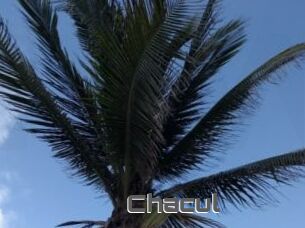 Chacul