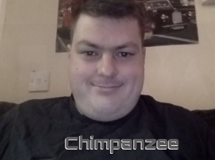 Chimpanzee