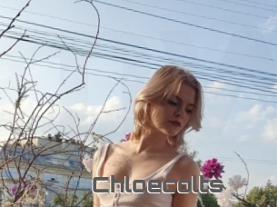 Chloecolts