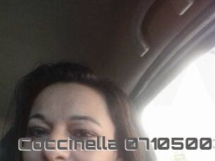 Coccinella-07105003