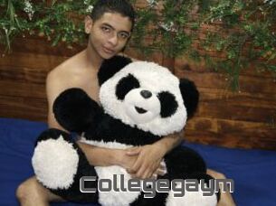 Collegegaym