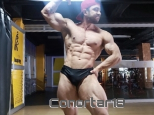 Conortar18