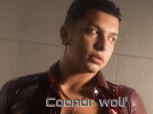 Coonor_wolf