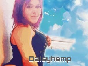 Daisy_hemp