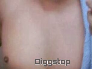 Diggstop