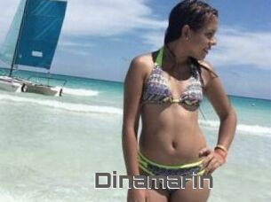 Dinamarin