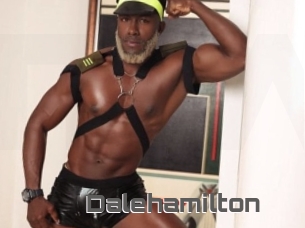 Dalehamilton