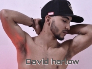 David_harlow