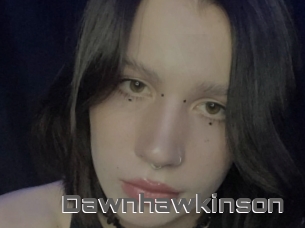Dawnhawkinson