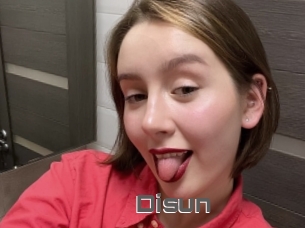 Disun