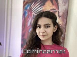 Dominoarnet