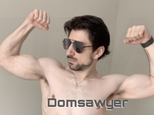 Domsawyer