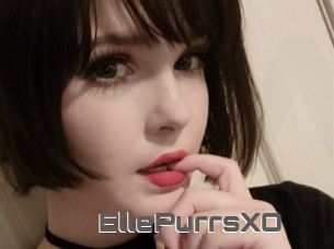 EllePurrsXO