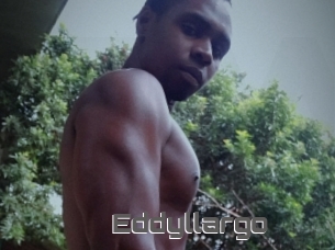 Eddyllargo