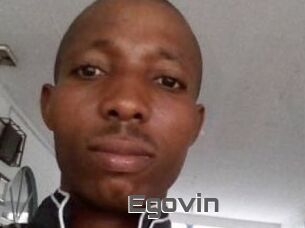 Egovin