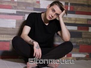 Eitonmouse